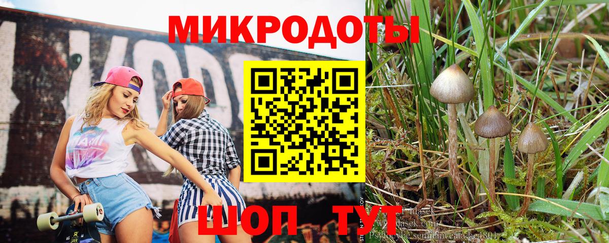 Псилоцибиновые грибы GOLDEN TEACHER  Вход с VPN  Среднеуральск 